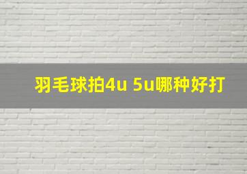 羽毛球拍4u 5u哪种好打